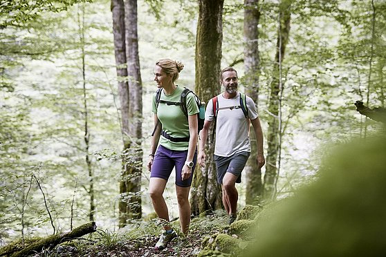 Foto Nationalpark Kalkalpen/Sonja Schäfer:
Wandern am Wildnistrail Buchensteig im Nationalpark Kalkalpen.